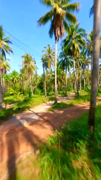 Kavkazská Žena Běží Malebné Silnici Palmami Tropickém Ostrově Thajsku — Stock video