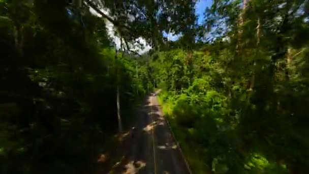 Malowniczy Lot Fpv Nad Tropikalną Drogą Przez Bujny Las Deszczowy — Wideo stockowe