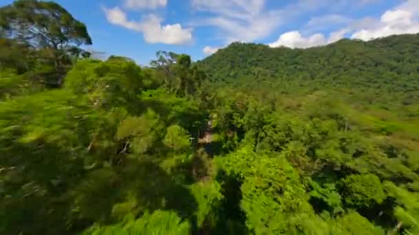 Живописный Полет Над Дорогой Через Пышные Зеленые Дожди Летом Таиланде — стоковое видео
