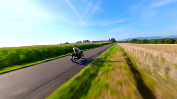 夏のフィールドを介して田舎の道に乗るヴィンテージオートバイに続くFpvドローン — ストック動画