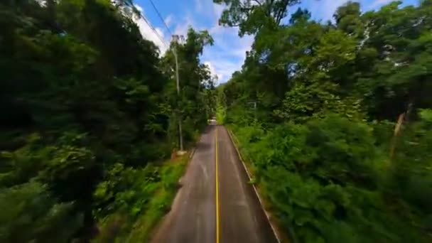 Malowniczy Lot Fpv Nad Tropikalną Drogą Przez Bujny Las Deszczowy — Wideo stockowe