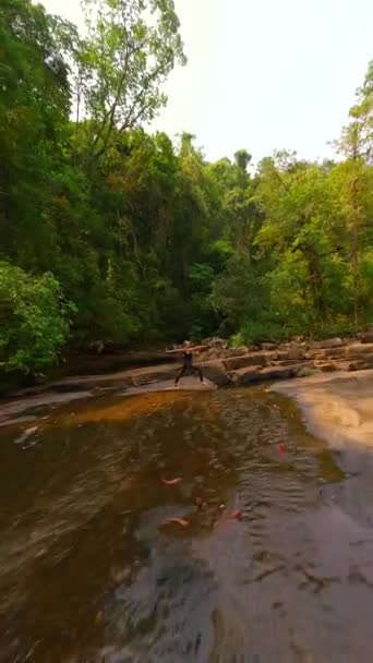 慎重な女性のFpvは タイの熱帯雨林で川でヨガを実践しています — ストック動画
