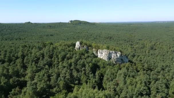 Uitzicht Vanuit Lucht Groene Boshooglanden Met Gigantische Kalkstenen Rotsen — Stockvideo