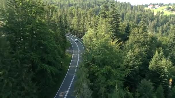 Aerial View Car Driving Winding Road Mountain Forest Summer — Stock Video