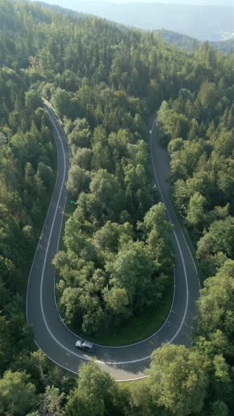 Aerial View Car Driving Winding Road Mountain Forest Summer — Stock Video