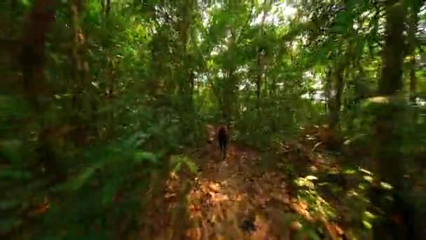 Kaukasiska Kvinnan Springer Tropisk Regnskog Thailand — Stockvideo
