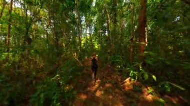 Beyaz kadın Tayland 'da tropikal yağmur ormanlarında koşuyor.