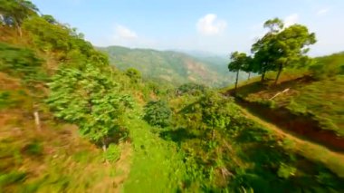 Chiang Rai, Tayland 'daki bir kahve çiftliğinin tepelerinde FPV manzaralı uçuş..