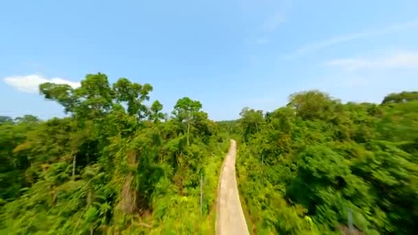 Vuelo Rápido Drones Fpv Sobre Carretera Tropical Través Selva Tropical — Vídeos de Stock