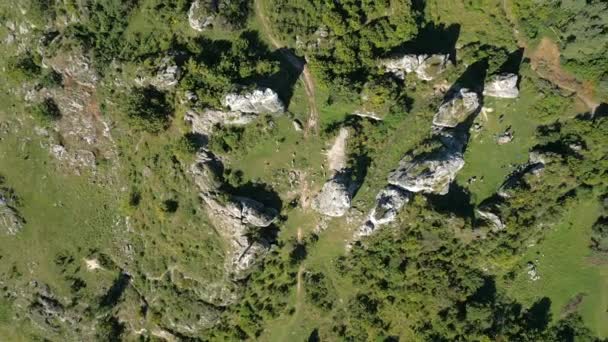 Picturesque Landscape Green Highlands Limestone Rocks Summer Poland — Stock Video