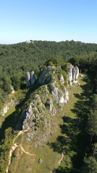 Picturesque Landscape Green Highlands Limestone Rocks Summer Poland — Stock Video