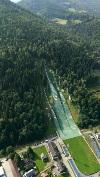 여름에 폴란드 산맥에서 점프의 — 비디오