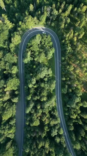Top View Car Driving Winding Road Mountain Forest Summer — Stock Video