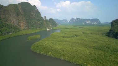 Tayland 'ın Krabi ilindeki mangrov ormanının ve nehrin hava manzarası.