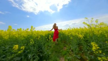 Kırmızı elbiseli mutlu beyaz kadın sarı kolza tohumu tarlasından atlıyor.