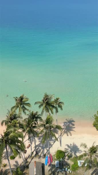 在泰国热带天堂岛上 人们在清澈碧绿的大海中放松 — 图库视频影像