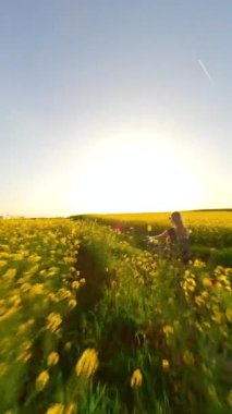 Kafkas kadın ve köpek FPV kırsalda klasik bir motosiklet sürüyorlar gün batımında yavaş çekimde sarı kolza tohumu tarlalarında
