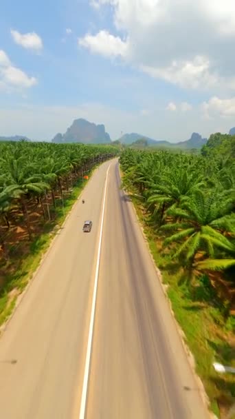 Fpv Samochodu Jadącego Malowniczą Drogą Prowincji Krabi Tajlandia — Wideo stockowe