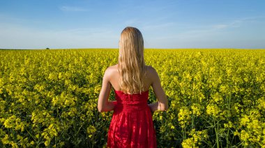 Manzaralı sarı kolza tohumu tarlasında kırmızı elbiseli beyaz kadın.