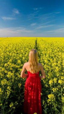 Manzaralı sarı kolza tohumu tarlasında kırmızı elbiseli beyaz kadın.