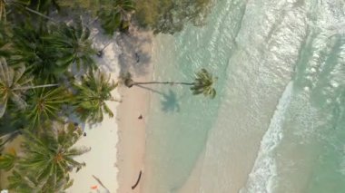 Kristal berrak denizi ve Hindistan cevizi palmiyeleri olan güzel tropikal sahil manzarası, Tayland