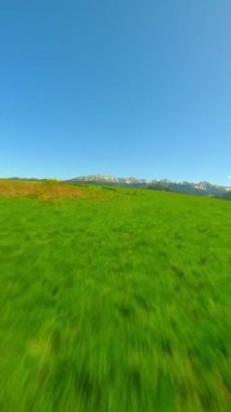 FPV flight over green meadow near the Tatra mountains in summer, Poland