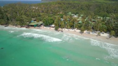 Hindistan cevizi palmiyeleri ve turkuaz okyanus dalgaları ile güzel tropikal sahil manzarası, Tayland