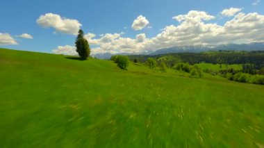 FPV flight over green meadow near the Tatra mountains in summer, Poland