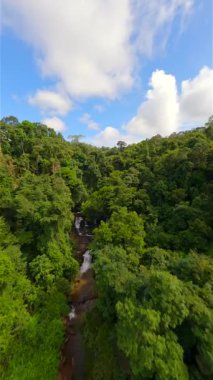 Tayland 'ın yemyeşil ormanlarında tropikal nehir ve şelale üzerinde sivil FPV uçuşu