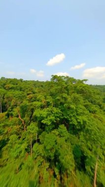 Tayland 'daki yoğun tropikal yağmur ormanı üzerinde dinamik FPV uçuşu