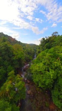 Tayland 'ın yemyeşil yağmur ormanlarındaki tropikal nehir üzerinde sivil FPV uçuşu