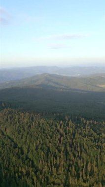 Yazın Polonya 'da dağ ormanlarının hava manzarası
