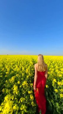 Beyaz kadın, kırmızı elbiseli, manzaralı sarı kolza tohumu tarlasında ağır çekimde yürüyor.