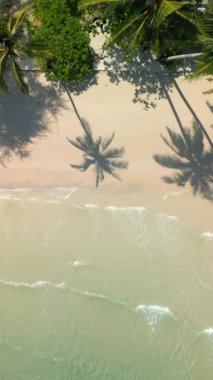 Kumda palmiye ağacı gölgeleri ve Tayland 'da kristal berrak okyanus dalgaları olan güzel tropik sahil manzarası.