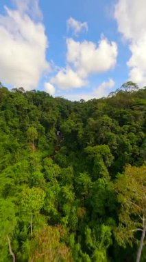 Tayland 'da nehir ve şelale ile yemyeşil orman üzerinde sinematik FPV uçuşu