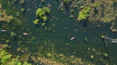 Tayland, Krabi 'deki Ayna Gölü' nde kayak yapan turistlerin hava görüntüsü