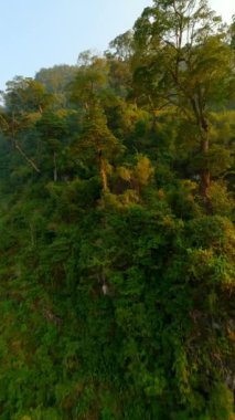 Gün batımında tropik ağaçların yakınındaki yemyeşil tepelerin üzerinden uçarak doğanın, Vietnam 'ın dingin güzelliğini yakalıyor.