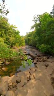 Tayland 'daki yeşil tropikal ormandan geçen yumuşak FPV uçuşu