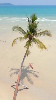 Tayland 'da tropik bir tatilde palmiye ağacının altında dinlenen bir kadının hava manzarası.