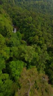 Tayland 'da tropikal nehir ve şelaleyle yemyeşil ormanın üzerinden uçan sinematik FPV.