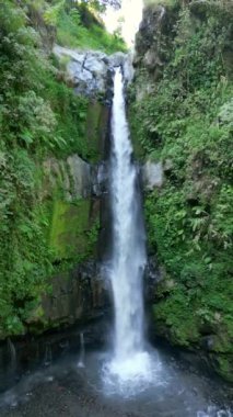 Endonezya 'daki ormandaki çarpıcı tropikal şelale