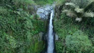 Endonezya 'daki ormandaki çarpıcı tropik şelalenin havadan görünüşü