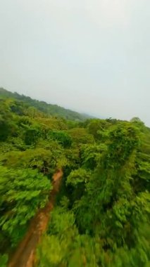 Tayland 'daki çarpıcı tropikal yağmur ormanı üzerinde dinamik FPV uçuşu