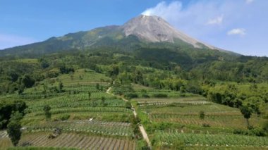 Aktif Merapi volkanı ve Endonezya 'nın yamaçlarındaki pitoresk tarım arazisinin havadan görünüşü