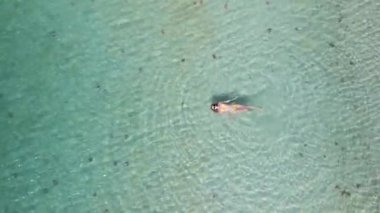 Tropikal denizde deniz yıldızıyla yüzen bir kadının havadan görünüşü. Yaz kavramları, seyahat, tatil, tatil.
