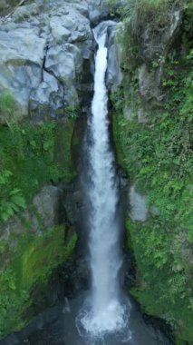 Orta Java, Endonezya 'daki ormandaki tropikal şelalenin havadan görünüşü