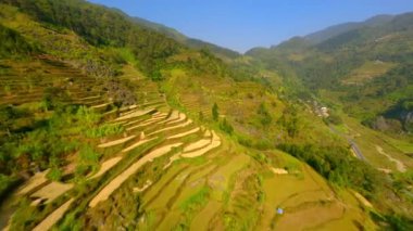 Vietnam 'daki dağ tepelerindeki pirinç teraslarının üzerinden sinematik FPV uçuşu