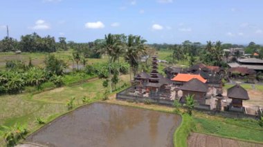 Ubud, Bali, Endonezya 'daki Bali Hindu Tapınağı ve pirinç tarlalarının havadan görünüşü