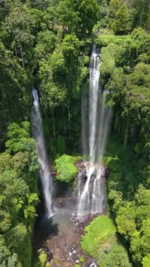 Endonezya 'nın Bali kentindeki bereketli ormandaki çarpıcı Sekumpul Şelalesi' nin havadan görünüşü