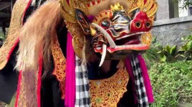 Ubud, Bali, Endonezya 'da Galungan kutlamalarında aslan dansı